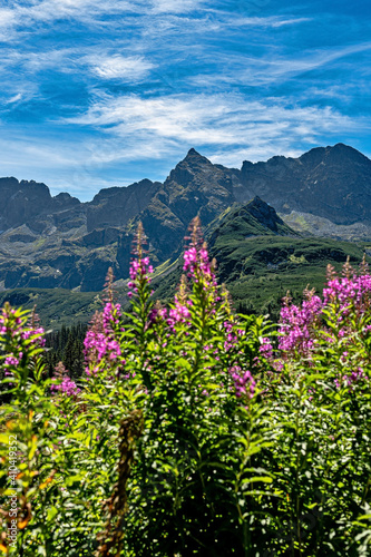 Fototapeta Naklejka Na Ścianę i Meble -  Hala gąsienicową, Koscielec, tatry wysokie, tatry polskie