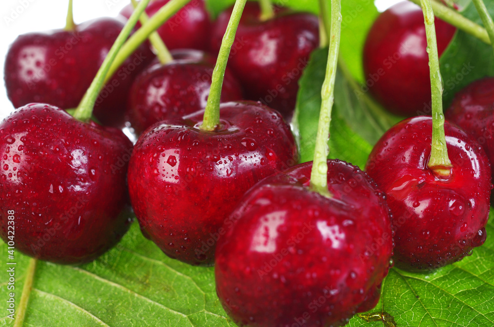 Sweet cherry berries with leaves and dew drops, close-up. Sweet cherry berries with leaves and dew drops, close-up.