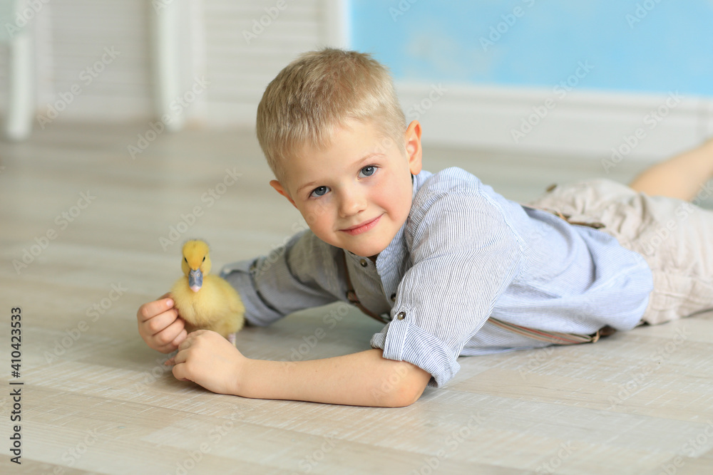 blond boy plays with a yellow goose. Children and animals blond boy plays with a yellow goose. Children and animals