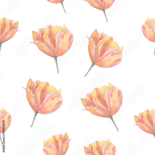 Tulip seamless pattern on a white background. Hand drawing watercolor tulip. Pink floral pattern.