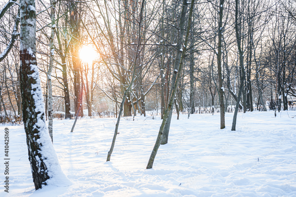 Beautiful park in winter at sunset. There is a lot of snow and bare trees. Beautiful park in winter at sunset. There is a lot of snow and bare trees.