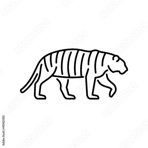 Tiger vector icon. Wild cat illustration. Predatory animal sign.