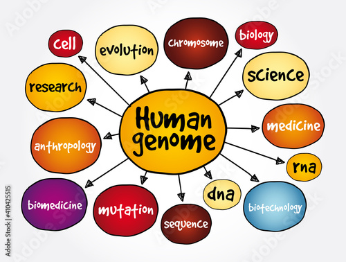 Human genome mind map, medical concept for presentations and reports
