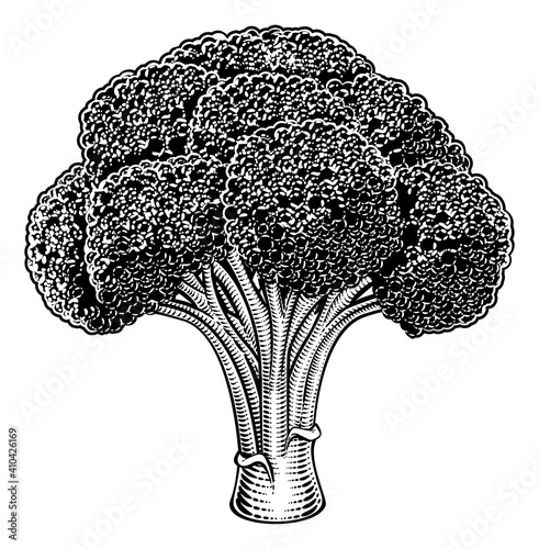 Broccoli vegetable illustration in a vintage retro woodcut etching style.