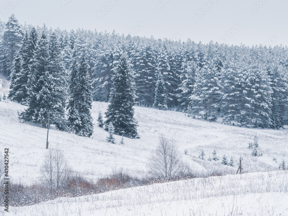 Naklejka premium Snow-covered hill with forest at the Stone Hill park on a frosty winter day. Beautiful landscape with conifer forest on snowy cloudy day. Frozen nature in fantastic white forest.