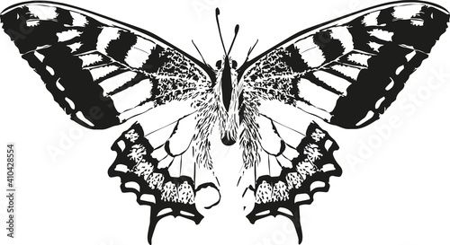 Stylized gothic butterfly - Gothic black and white vector