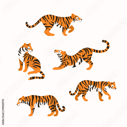 Fototapeta Naklejka Na Ścianę i Meble -  Cartoon tiger. Cute animal character in different poses. Flat vector illustration for prints, clothing, packaging, stickers.