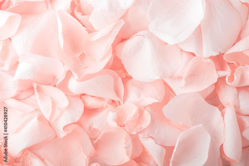 Fototapeta premium Pink rose petals. Valentine's day or Mother's day background. Flat lay. Top view