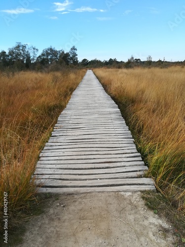 Wanderweg in Holland © Sascha