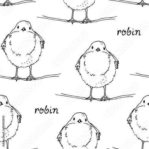 Robin bird hand drawn vector seamless pattern, The European robin colored illustration, isolated on white background