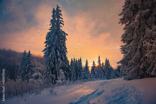 sunset in winter © Ivan