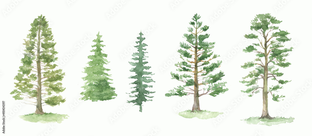 Green pine trees watercolor set. Fir trees silhouette. Forest - obrazy, fototapety, plakaty 