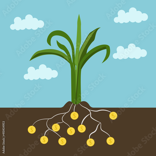 The growth of coin in the garden,Money Tree Business Concept Illustration