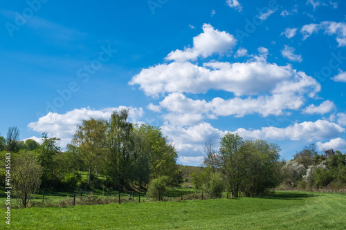 View over a green meadow to a forest under a blue sky and white clouds near Wiesdaden   Germany 