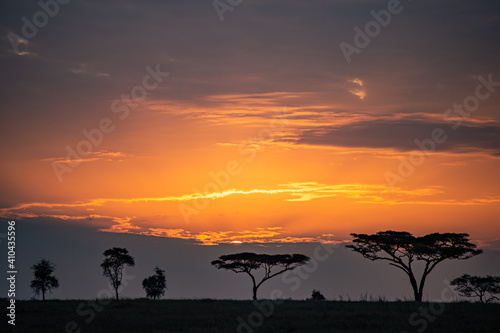 sunset in the savannah © Nature_Japan_NM