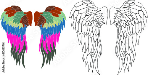 bird wing illustration and rose flower