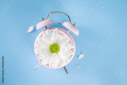 Spring Time Change flatlay. Summer back concept. Retro Vintage alarm Clock with fresh, beautiful white spring daisy flower on pastel blue background top view copy space
