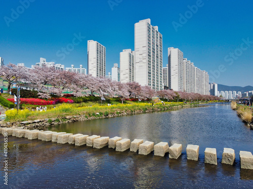 Spring of Oncheoncheon Citizens Park , Busan, South Korea, Asia photo