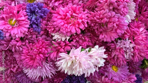 Scenic view of bunch of fresh colorful flowers for multipurpose use