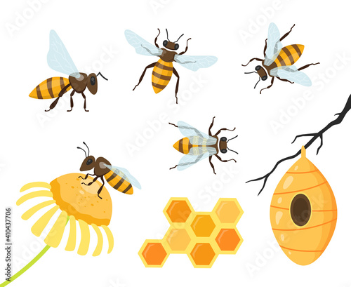 Honey bee isolated cartoon set. Honey and hand drawn insect colorful set. Honeycomb and bees vector icons. © denis08131