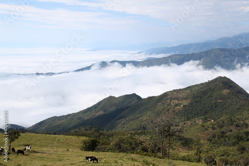 Landscape of the Andes in Ecuador  photo