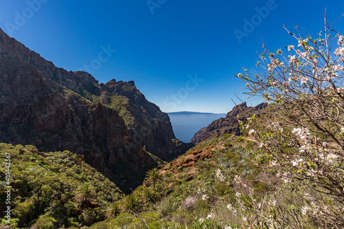 Iles Canaries, Ténérife, Espagne