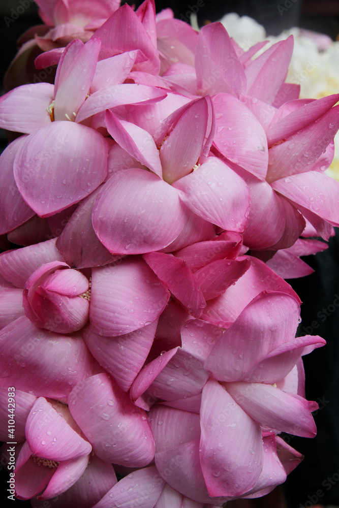 Close up picture of flowers sale at vendor outside a buddhist pagoda in Myanmar.