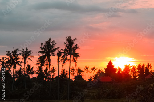 Silhouette of palm trees during a beautiful sunset.