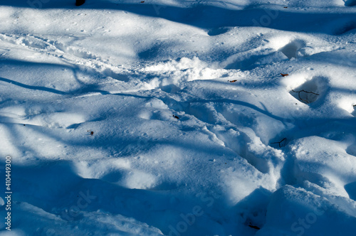 There are many animal tracks on the snow. Background, sunny winter day.