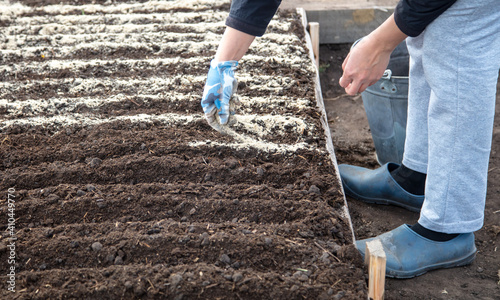 The girl sows seeds in the ground