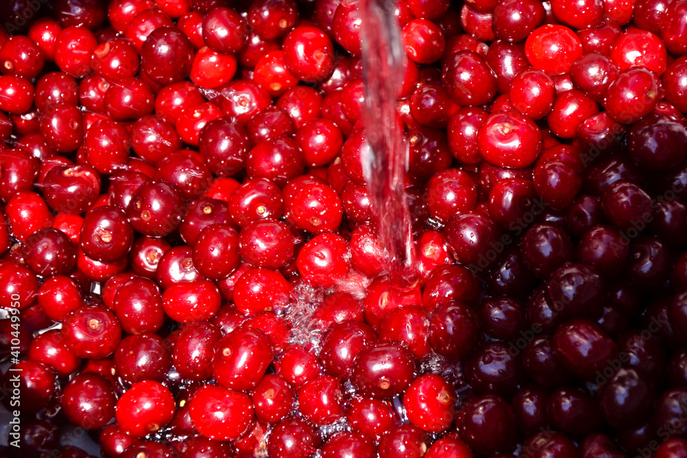 Cherry organic berries harvest. Fresh cherries for jam, juice, smoothie, compote, desserts and cakes. Organic fruits in water. Cherry organic berries harvest. Fresh cherries for jam, juice, smoothie, compote, desserts and cakes. Organic fruits in water.