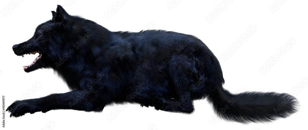 3D Rendering Black Wolf on White 3D Rendering Black Wolf on White