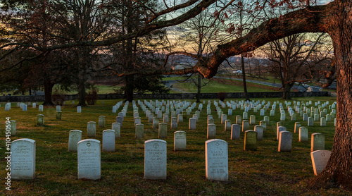 American cemetery 