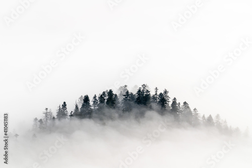 Pienińskie lasy we mgle. photo