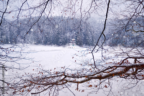 Ice covered Synevyr lake in Ukraine, gorgeous location in forested Carpathian mountains. Beautiful idyllic landscape in wintertime