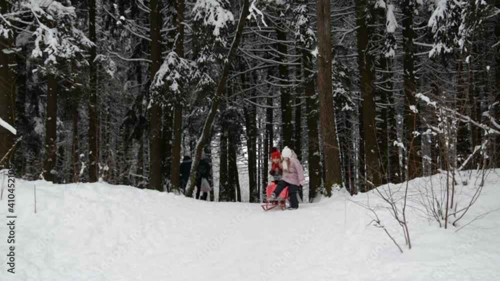 Two little girls girlfriends in winter sledding in the park Two little girls girlfriends in winter sledding in the park