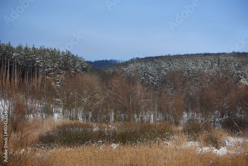 Wallpaper Mural snowy nature in forest,winter photo Torontodigital.ca