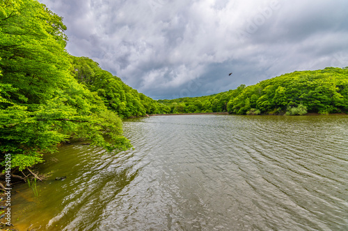 Belgrad Wood view in Istanbul photo