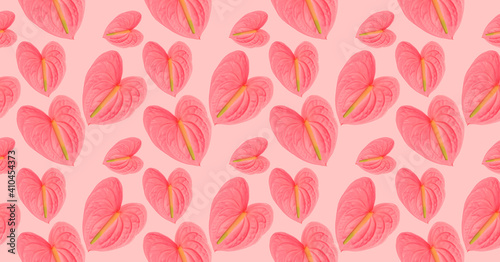 Festive background of pink flowers on a pink background.