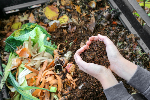 mains tenant du compost  au dessus du composteur avec déchets organiques