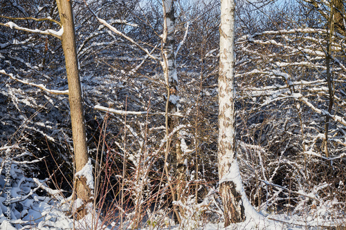 Fototapeta Naklejka Na Ścianę i Meble -  zimowe drzwa