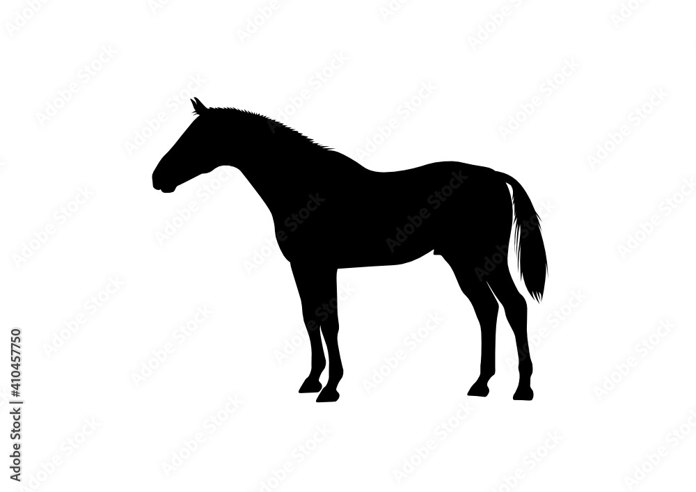 Silhouette Cavallo Silhouette Cavallo