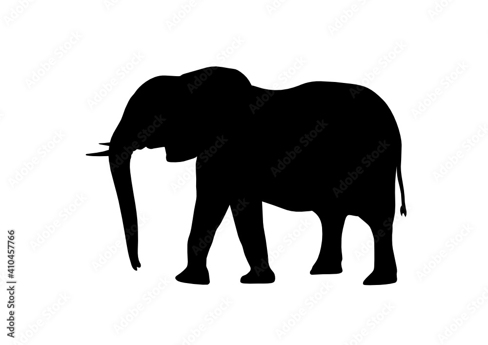 Fototapeta premium Silhouette Elefante