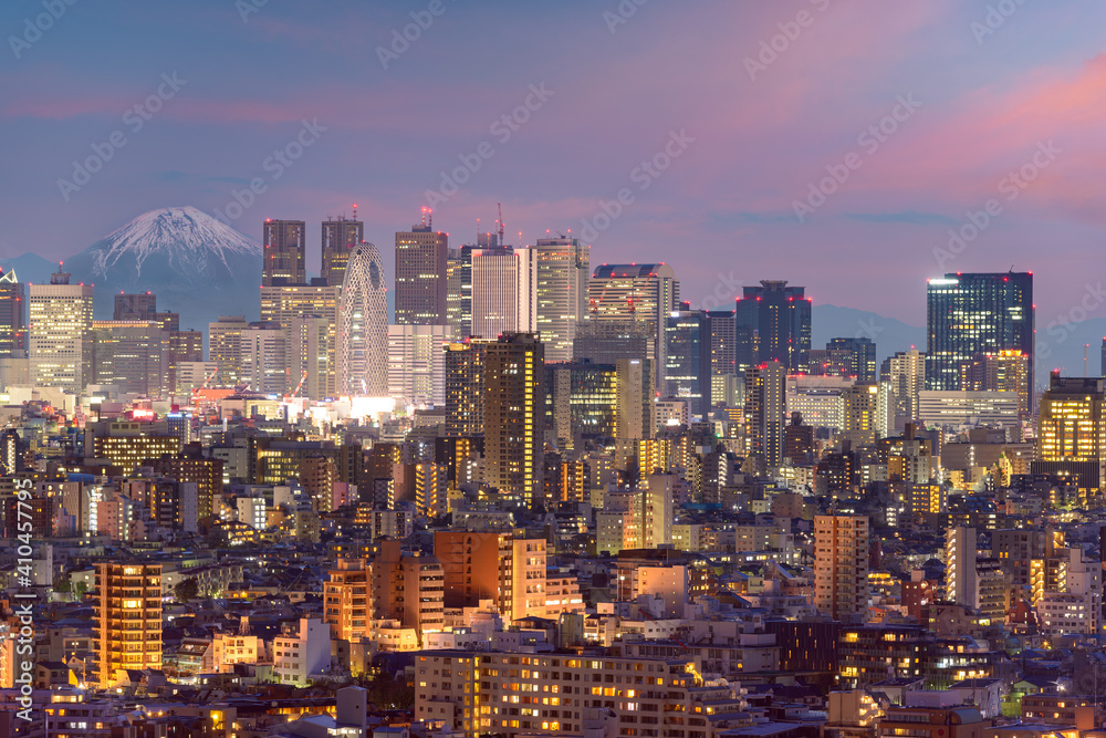 Tokyo, Japan cityscape with Fuji