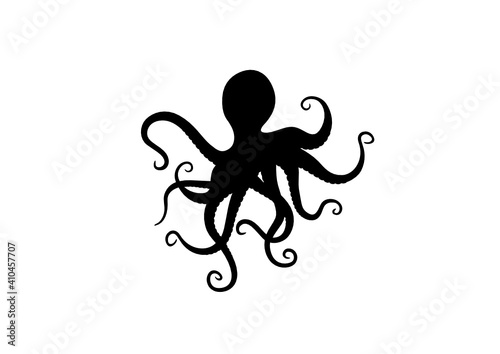 Silhouette Polpo