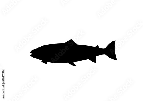 Silhouette Salmone