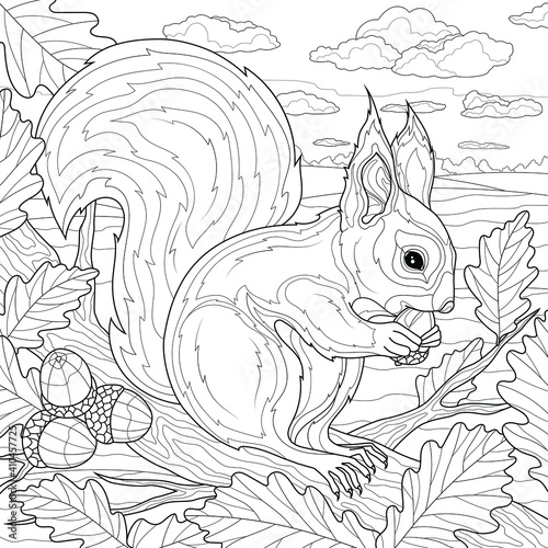 Squirrel with an acorn on an oak.Coloring book antistress for children and adults. Illustration isolated on white background.Zen-tangle style. Black and white drawing.Hand drawn