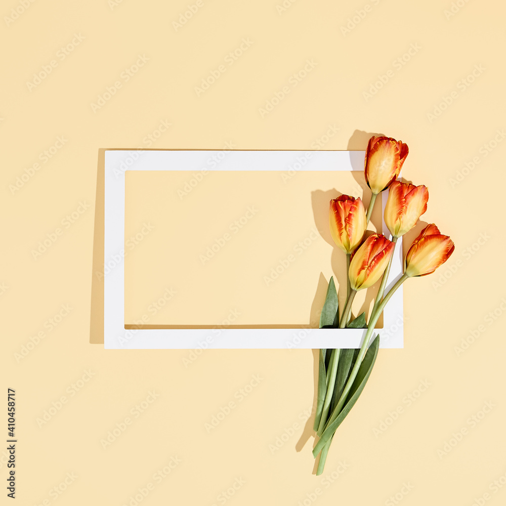 Fototapeta premium Retro style flower background. Tulip flower and white frame on pastel background. Spring minimal layout with light beige table and sunlight