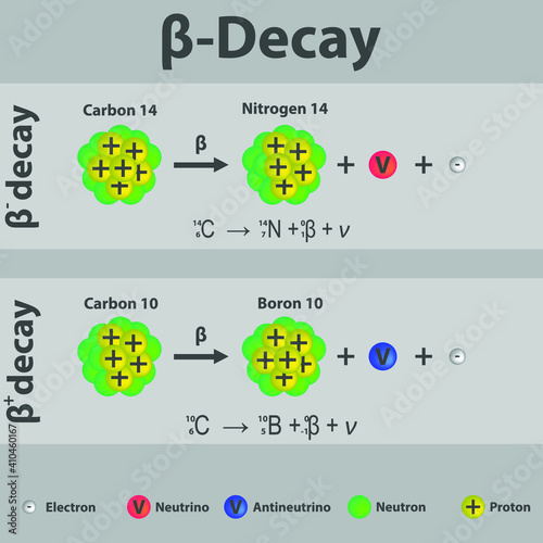 Beta plus and Beta minus Decay of carbon infographic with equation. Formation of new element by a change in number of protons in nucleus. photo