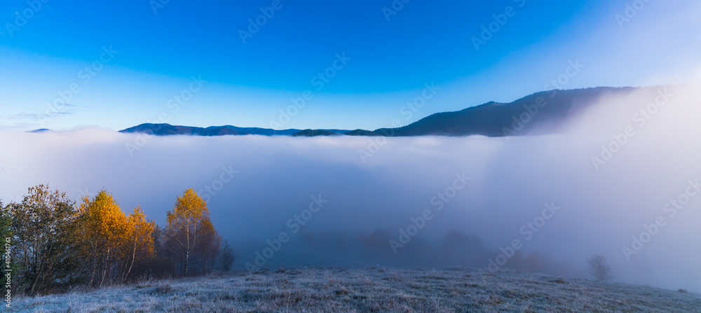 Early morning and frozen grass covered in fog under the bright sun Early morning and frozen grass covered in fog under the bright sun